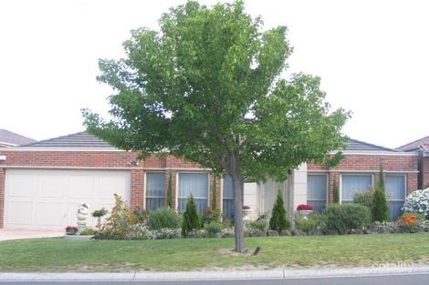 16 Prestbury Dr, Vermont South, VIC 3133