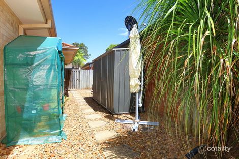 Property photo of 8 Vivacity Drive Upper Coomera QLD 4209