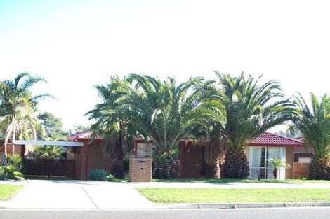 13 Preston Ave, Endeavour Hills, VIC 3802