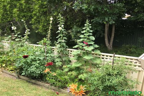 93/157 The Springs Rd, Sussex Inlet, NSW 2540