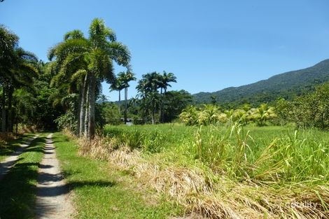 Property photo of 187 Telecom Road Bellenden Ker QLD 4871