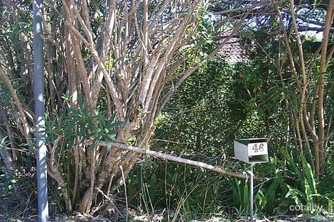 46 Massinger St, Byron Bay, NSW 2481