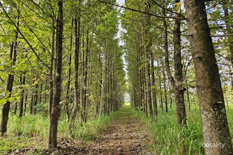 101 Camarlinghi Rd, Daradgee, QLD 4860