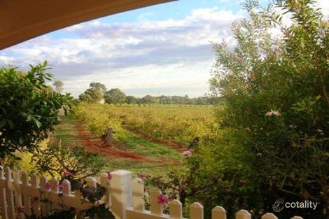 Property photo of 1 Rawson Penfold Drive Rosslyn Park SA 5072