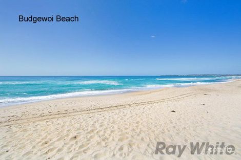 Property photo of 50 Scenic Drive Budgewoi NSW 2262