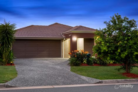 Property photo of 10 Percy Earl Crescent Pimpama QLD 4209