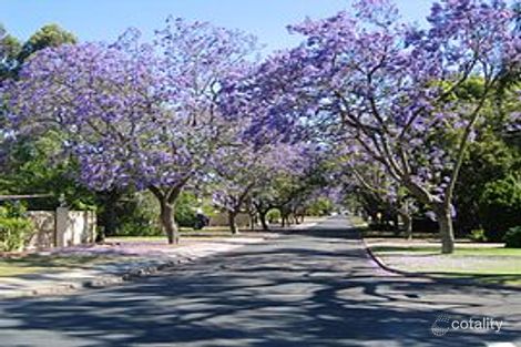 Property photo of LOT 81B Ardross Street Applecross WA 6153