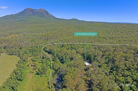 Property photo of 65 Forest Home Road Rathdowney QLD 4287