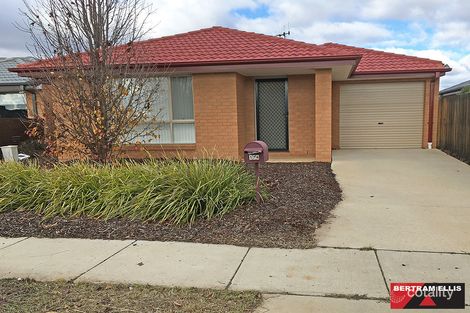 174 Macfarlane Burnet Ave, Macgregor, ACT 2615