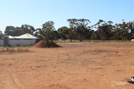 1 Jennifer Ct, Robinvale, VIC 3549