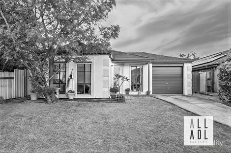 Property photo of 19 Lyle Street Para Vista SA 5093