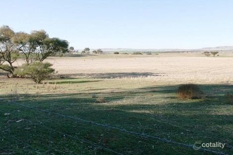 104 Barunga Gap Rd, Bute, SA 5560