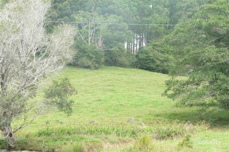 Property photo of 38 Evans Road Black Mountain QLD 4563