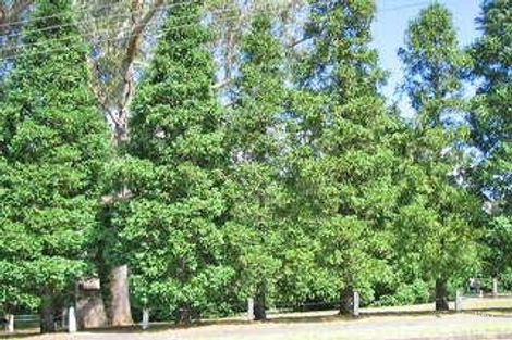 231-235 Leura Mall, Leura, NSW 2780