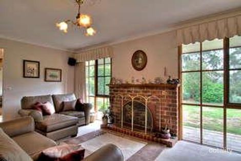 Property photo of 245 Bungower Road Somerville VIC 3912