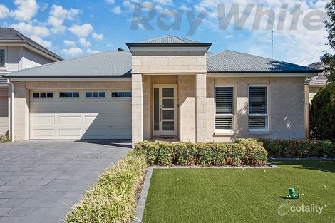 19 Mercurio Dr, Flinders Park, SA 5025