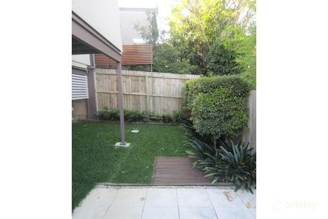 Property photo of 4/59 Dover Street Hawthorne QLD 4171