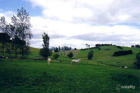 Property photo of 1290 Jacksons Track Jindivick VIC 3818