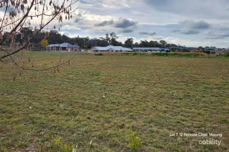 14 Penrose Cl, Molong, NSW 2866