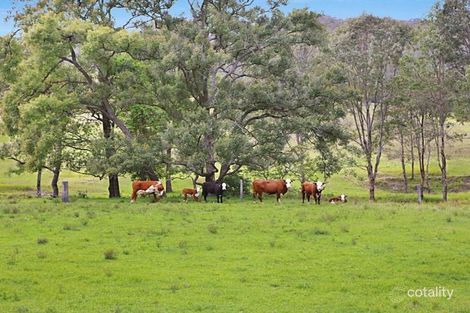 Property photo of 374 Torryburn Road Torryburn NSW 2421