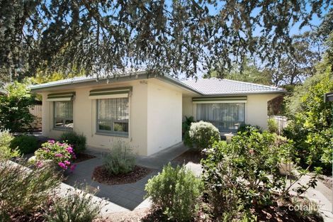277 Hancock Rd, Banksia Park, SA 5091