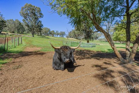 Property photo of 133 Wilson Road Bullsbrook WA 6084