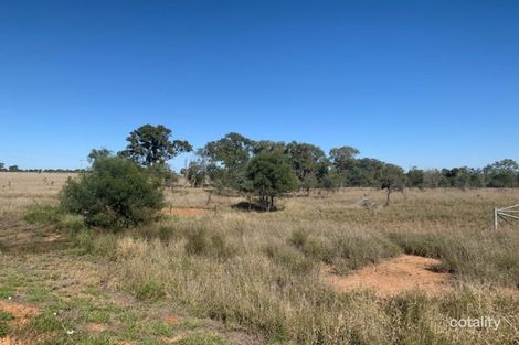 Property photo of 1 Lurline Road Comet QLD 4702