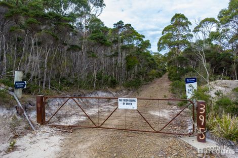 395 Musk Vale Rd, George Town, TAS 7253