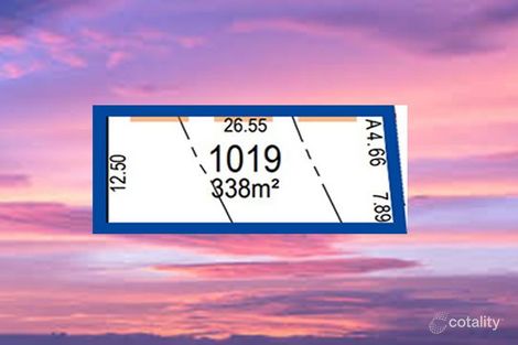 Lot 1019/46 Rickard Rd, Leppington, NSW 2179