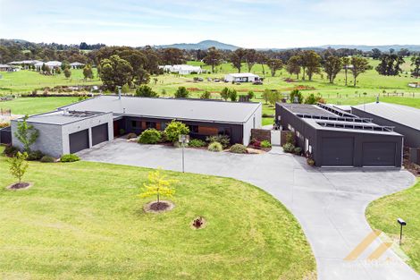 41 Maclure Dr, Wy Yung, VIC 3875