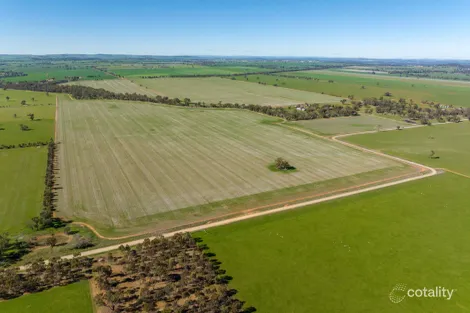 166 Mathews Rd, Downside, NSW 2650