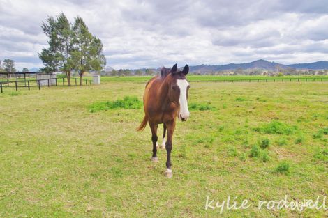 Property photo of 8652 Mount Lindesay Highway Laravale QLD 4285