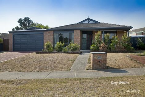 66 Gum Nut Dr, Langwarrin, VIC 3910