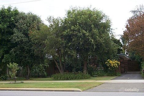Property photo of 45 Pinetree Gully Road Willetton WA 6155