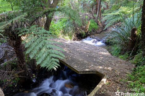 Property photo of 4 Adrienne Court Millgrove VIC 3799