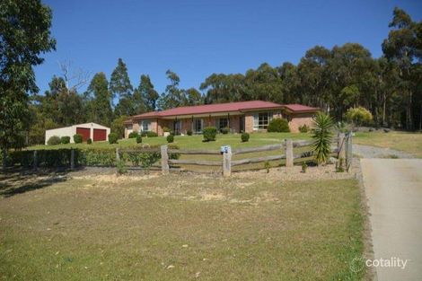 Property photo of 13 Clearwater Terrace Mossy Point NSW 2537