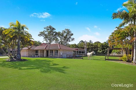 Property photo of 14 Sugar Gum Drive Mooloolah Valley QLD 4553