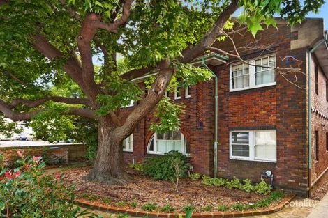 Property photo of 6/67 Pacific Highway Roseville NSW 2069