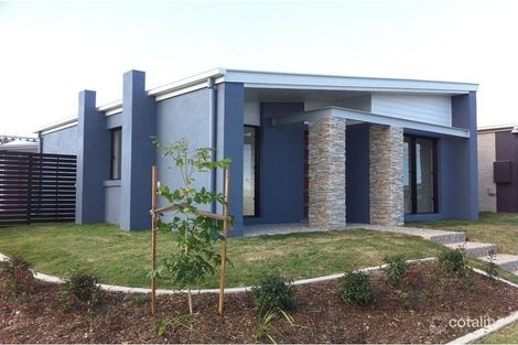 Property photo of 53 Collingrove Circuit Pimpama QLD 4209