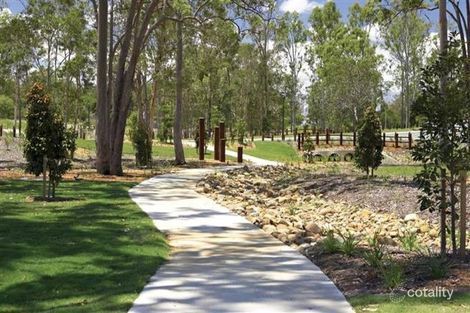 Property photo of 53 Collingrove Circuit Pimpama QLD 4209
