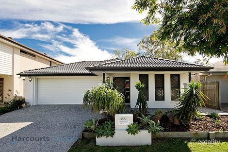 Property photo of 66 Somerset Drive Carseldine QLD 4034