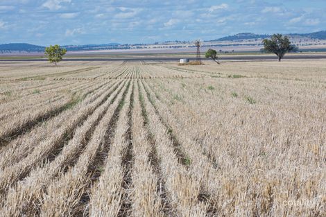 4565 Bundella Rd, Blackville, NSW 2343