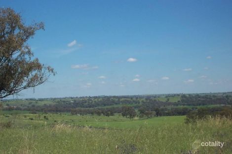 Property photo of 27 Forbes Lane Young NSW 2594