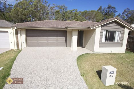 Property photo of 36 Riley Peter Place Cleveland QLD 4163