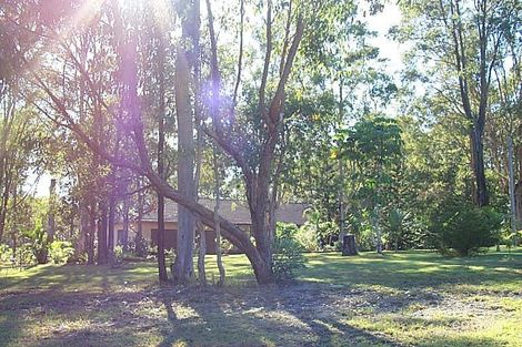 Property photo of 3 Anembo Avenue Pimpama QLD 4209