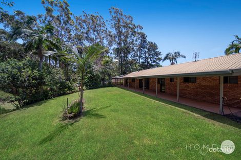 Property photo of 817-821 Diddillibah Road Diddillibah QLD 4559