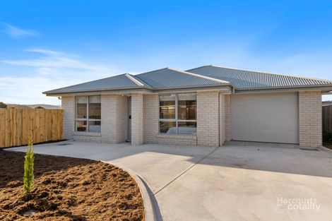 Property photo of 44 Fermoy Crescent Howrah TAS 7018