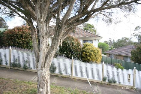 17 White St, Belmont, VIC 3216