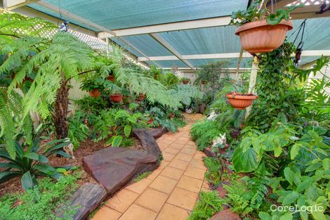 Property photo of 40 McLean Street Berri SA 5343