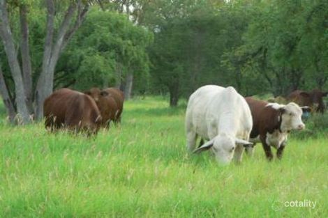 Property photo of LOT 6 Frames Lane Blackall QLD 4472